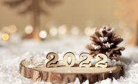 Želáme všetkým všetko dobré do nového Roku 2022. Veľa pokojných dní a spoločnú spoluprácu na zlepšenie dôstojnosti života matiek/rodín v núdzi.